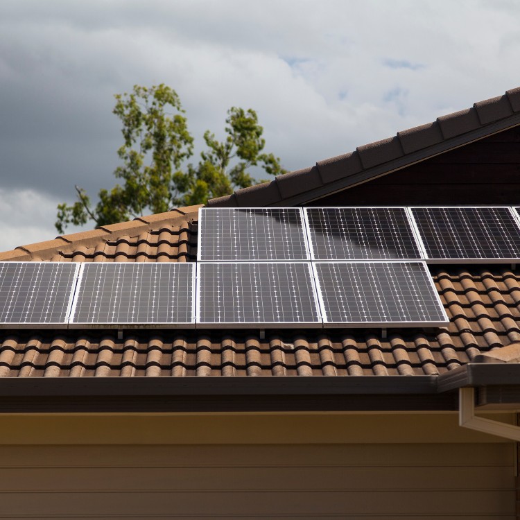 Cleaning and Junk Removal in Dallas, TX