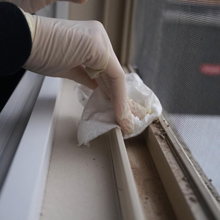 Cleaning and Junk Removal in Dallas, TX Cleaning and Junk Removal in Dallas, TX